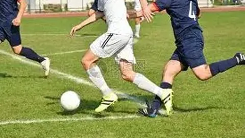 萧亚轩与黄皓再续前缘，曾被咬伤的宠物化身月老红线