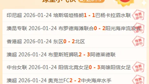 纽卡中场在欧洲巅峰绽放，德泽尔比坚定升级之路：中场新援加盟，球队实力再创新高！